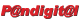 IT services by Pandigital